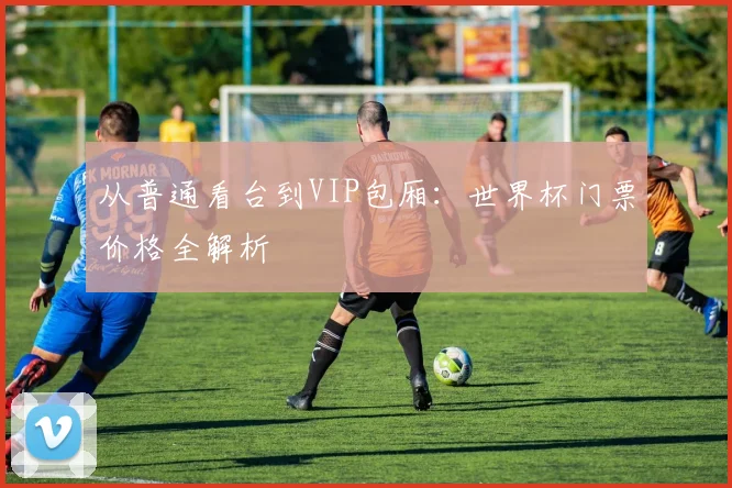 从普通看台到VIP包厢：世界杯门票价格全解析