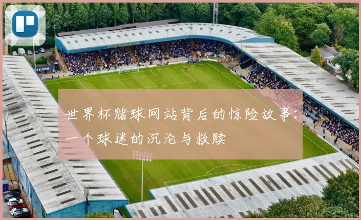 世界杯赌球网站背后的惊险故事：一个球迷的沉沦与救赎